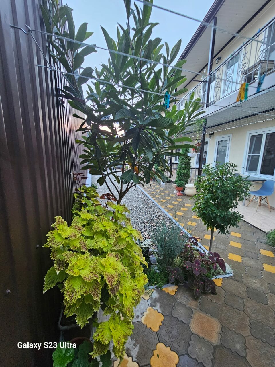 Гостиница Елена Джубга-119