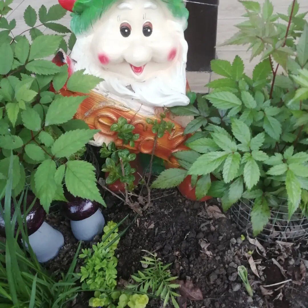 Гостиница Елена Джубга-20