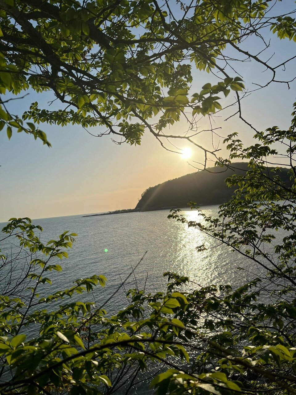 Гостиница Елена Джубга-195