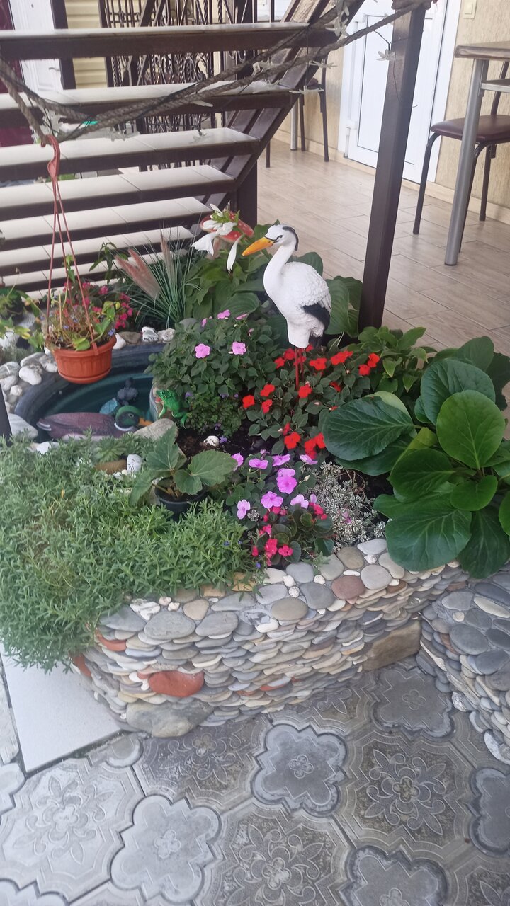 Гостиница Елена Джубга-24