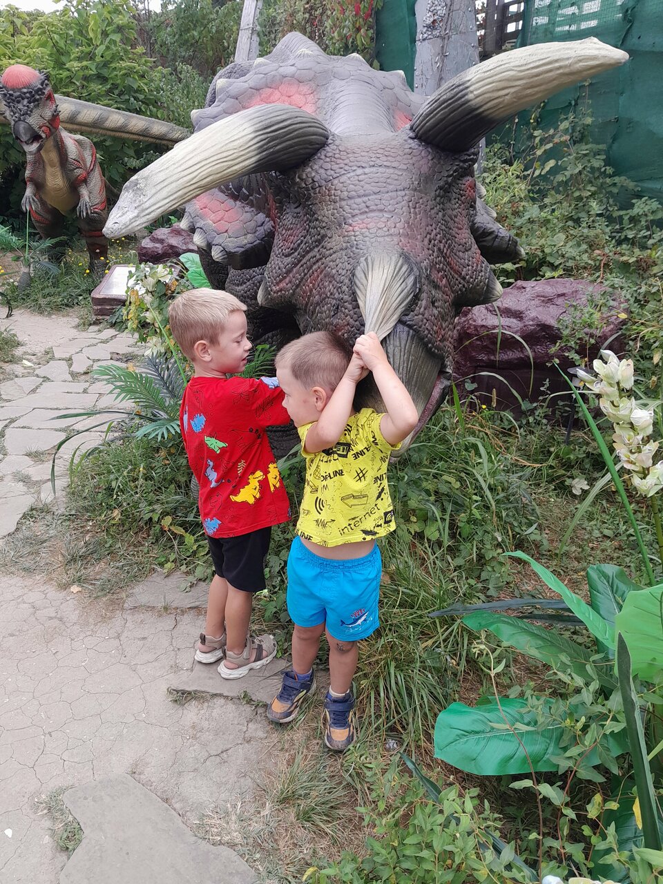 Гостиница Елена Джубга-215