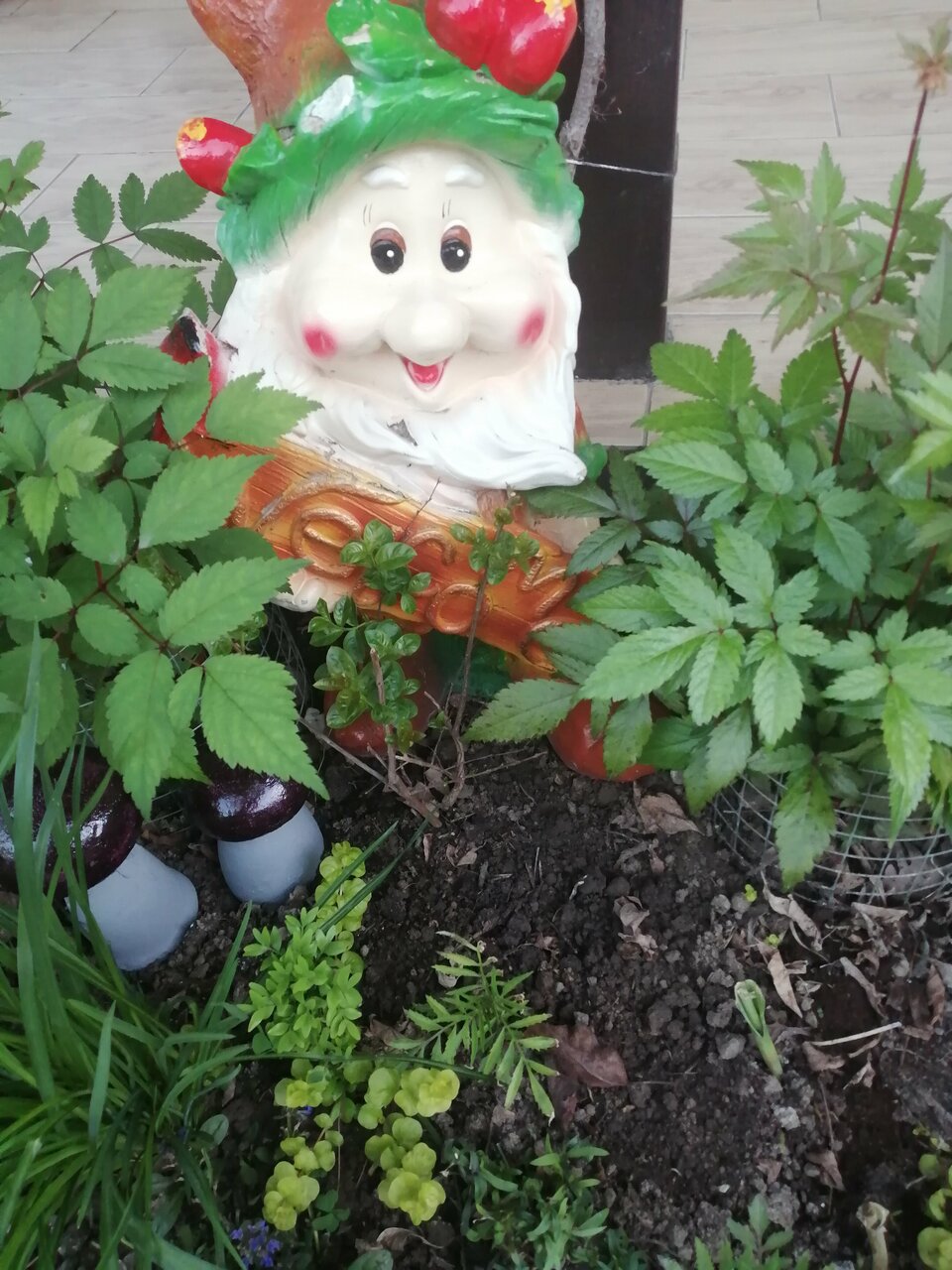 Гостиница Елена Джубга