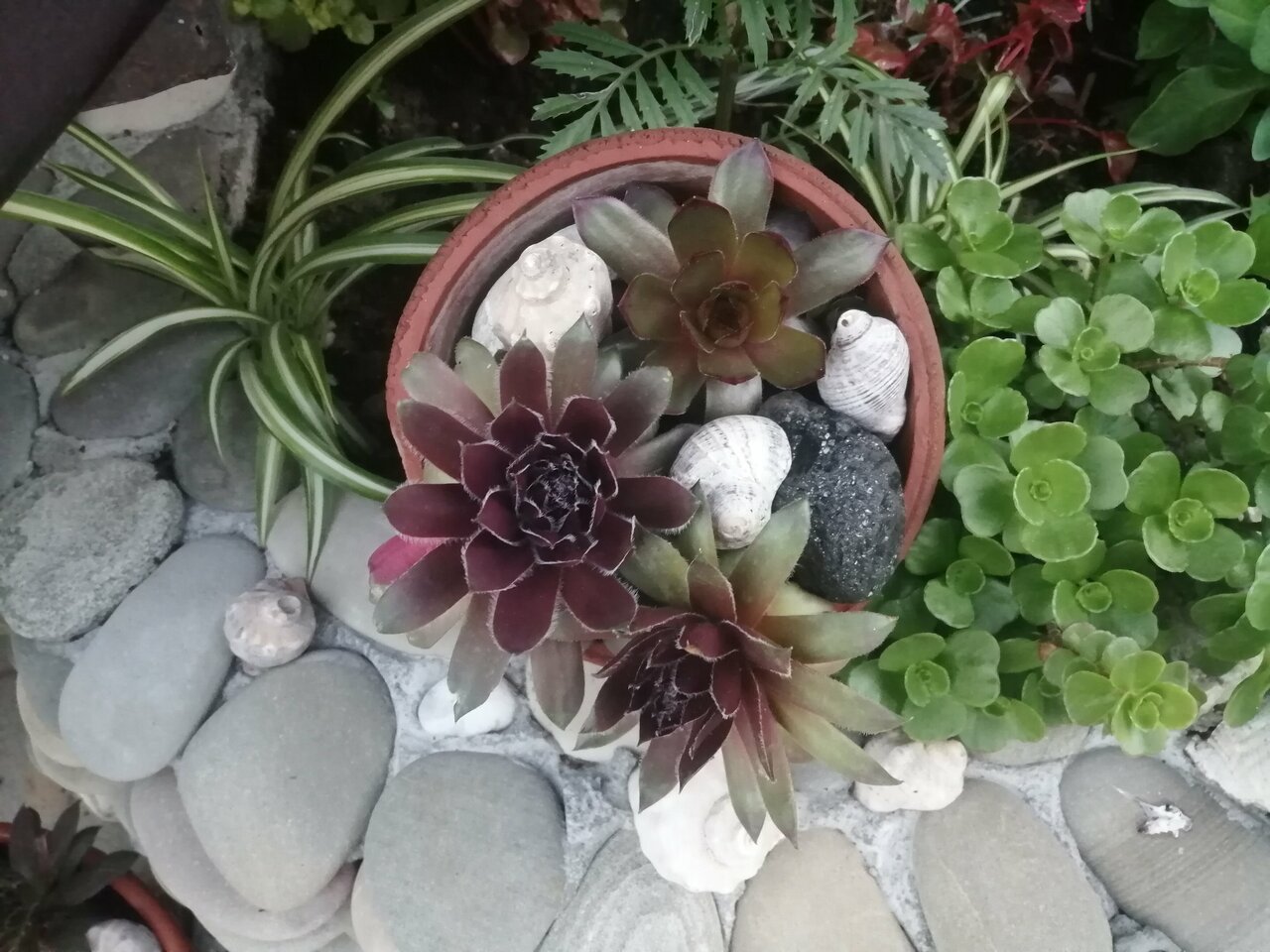 Гостиница Елена Джубга