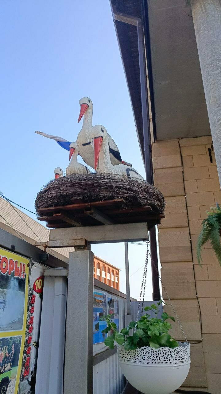 Гостиница Елена Джубга-78