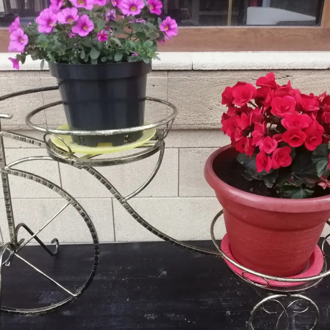 Гостиница Елена Джубга-19