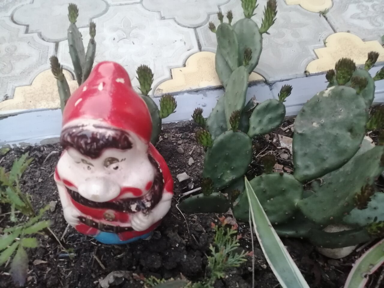 Гостиница Елена Джубга-40