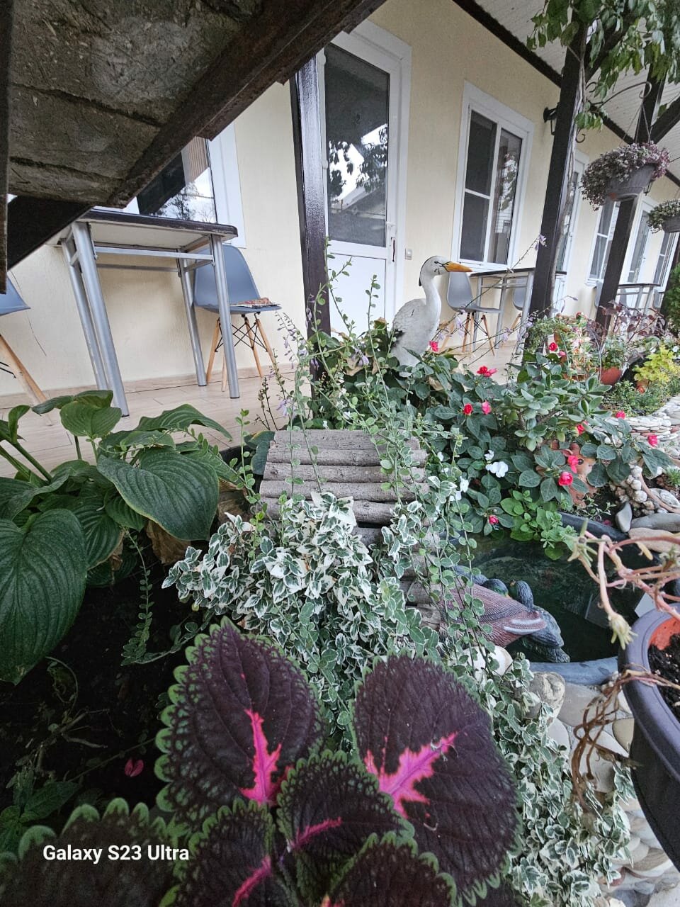 Гостиница Елена Джубга-122