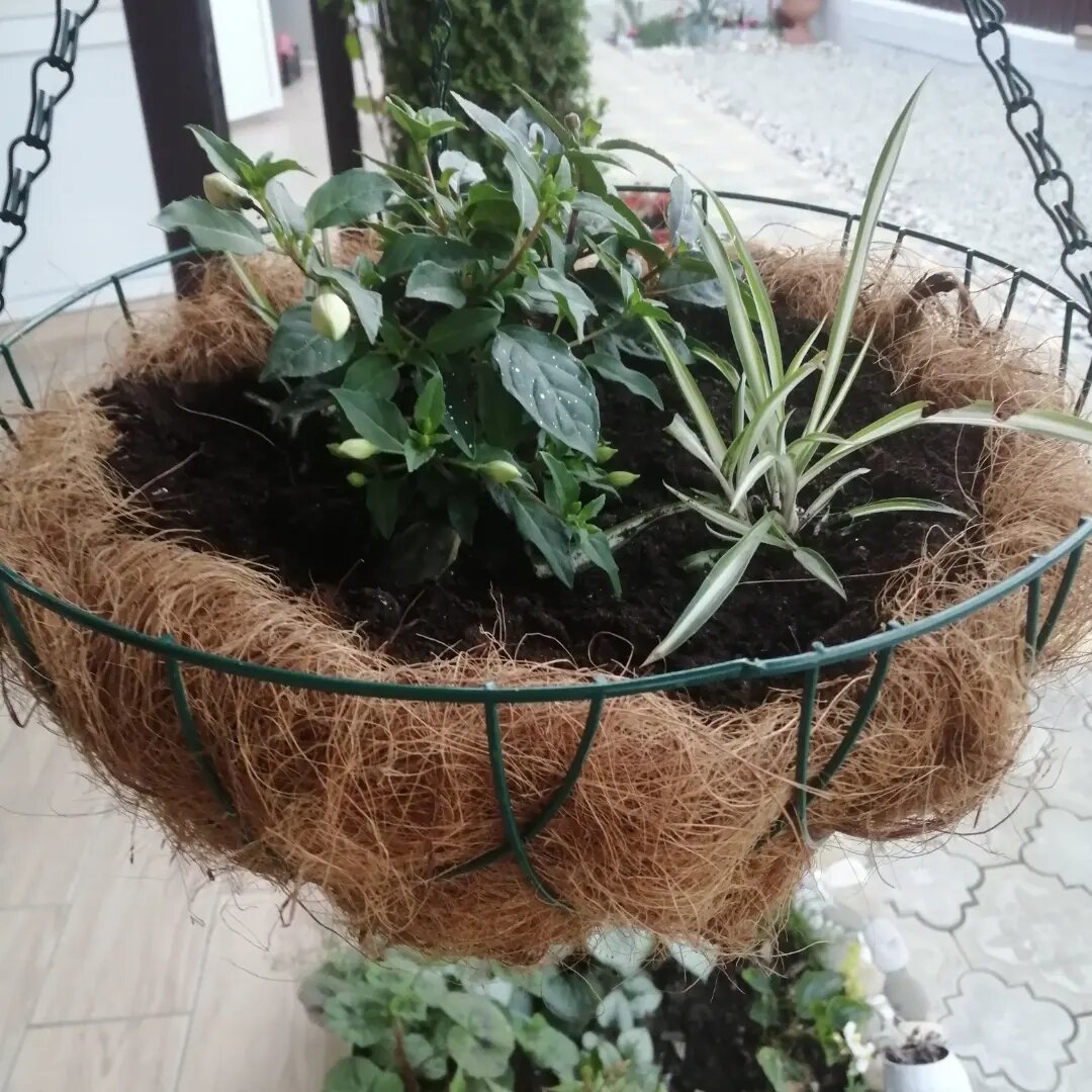 Гостиница Елена Джубга-38