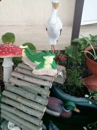 Гостиница Елена Джубга Двухместный номер Делюкс с 1 кроватью или 2 отдельными кроватями, вид на сад-4