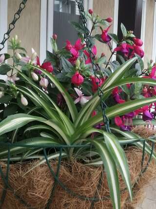 Гостиница Елена Джубга Четырехместный номер-13