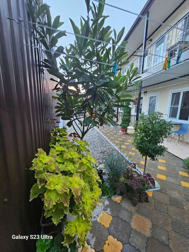 Гостиница Елена Джубга-118