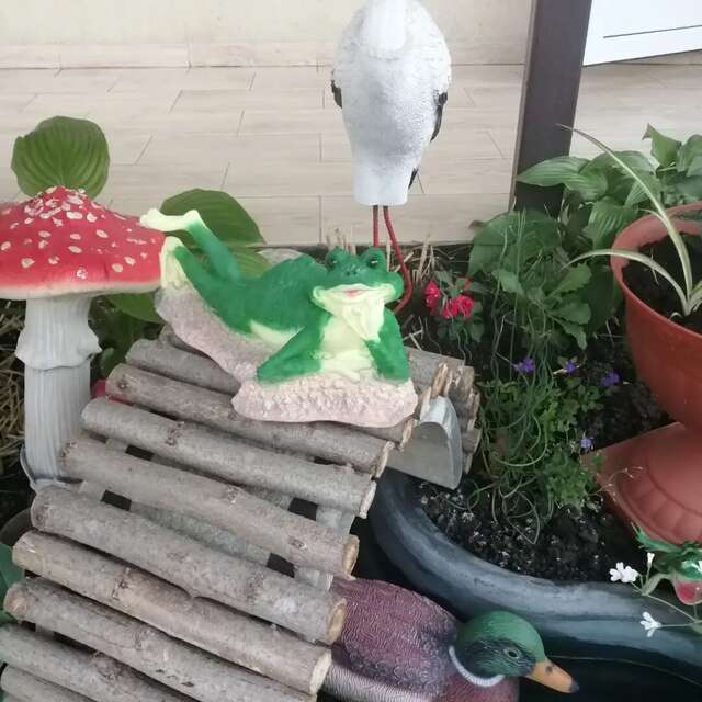 Гостиница Елена Джубга-22