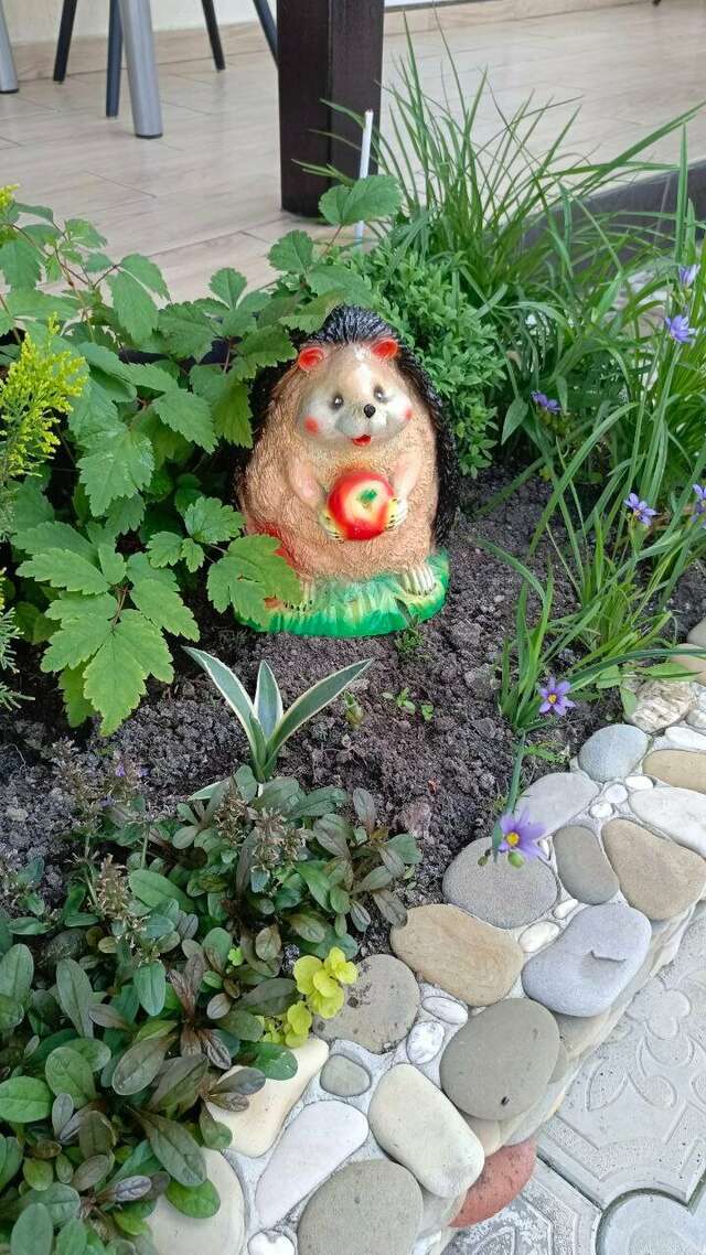 Гостиница Елена Джубга-108