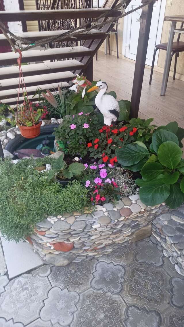 Гостиница Елена Джубга-23