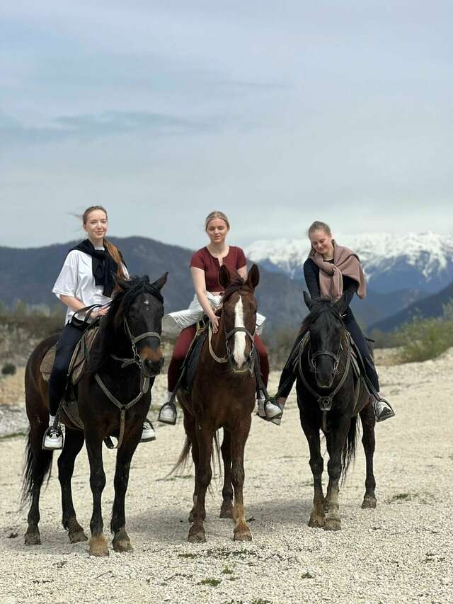 Гостиница Елена Джубга-58