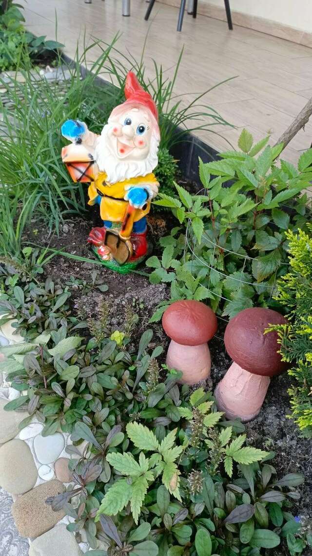 Гостиница Елена Джубга-133