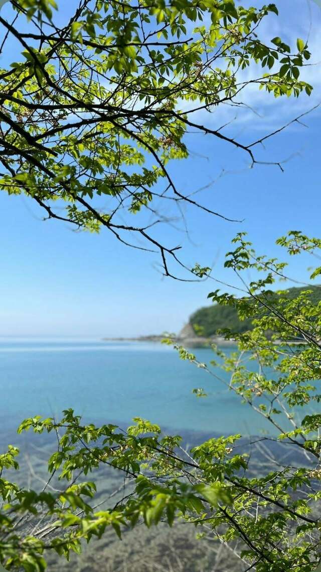 Гостиница Елена Джубга-65