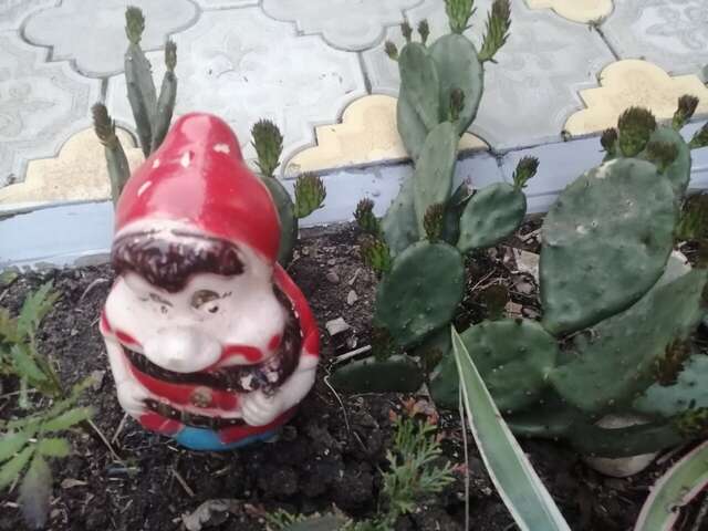 Гостиница Елена Джубга-39