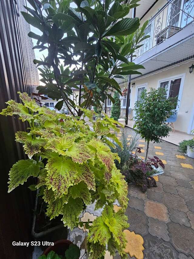 Гостиница Елена Джубга-88