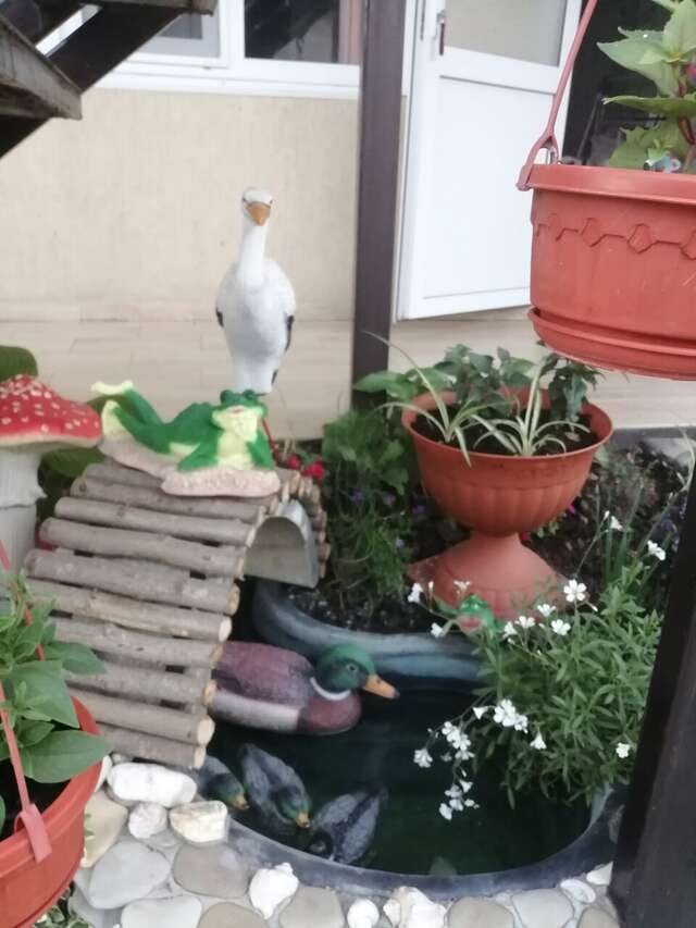 Гостиница Елена Джубга-41