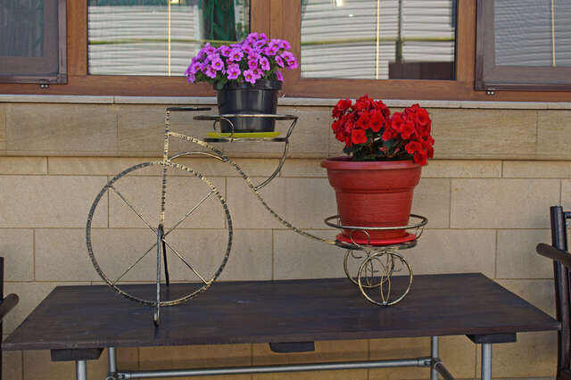 Гостиница Елена Джубга-25